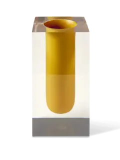 /original/31825_JOAD_Mustard_1.png_convert-240x320