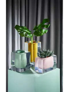 /original/31825_JOAD_Mustard_2.png_convert-240x320