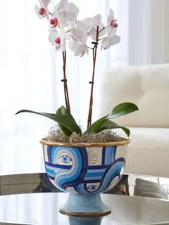 /original/33397_JOAD_Blue_2.png_convert-240x320