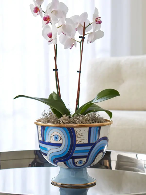 /original/33397_JOAD_Blue_2.png_convert-600x800