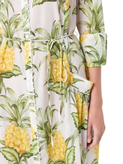 /original/336722_FRIO_Pineapple_5.png_convert-240x320