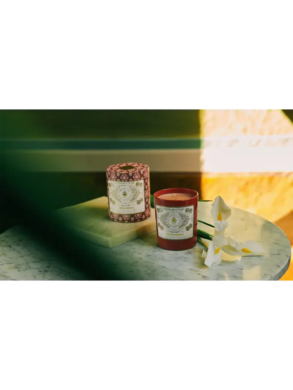 /original/3462702_SMNN_NA_2.png_convert-600x800