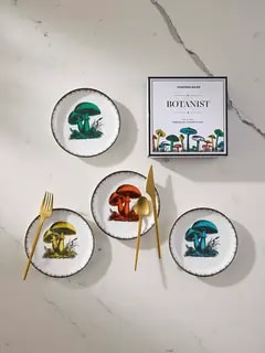 /original/34919_JOAD_Multi_2.png_convert-240x320