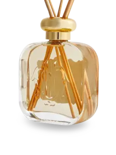 /original/3519901_SMNN_NA_3.png_convert-240x320