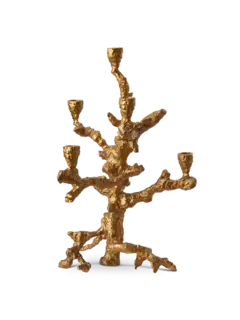 /original/390-225-129_POLS_GOLD_5.png_convert-240x320