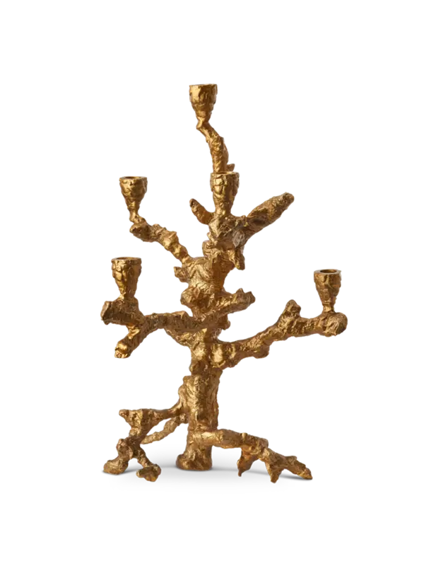 /original/390-225-129_POLS_GOLD_5.png_convert-600x800