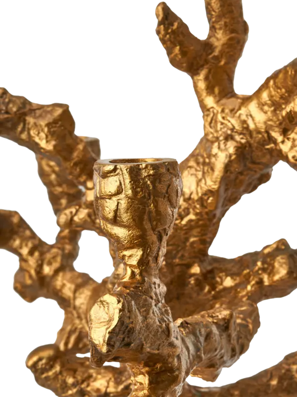 /original/390-225-129_POLS_GOLD_6.png_convert-600x800