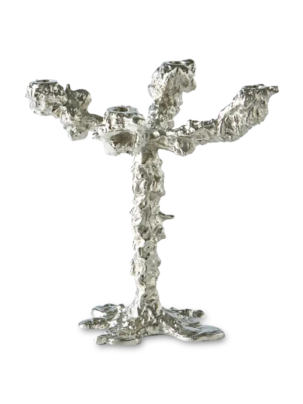 /original/390-225-159_POLS_Silver_1.png_convert-600x800