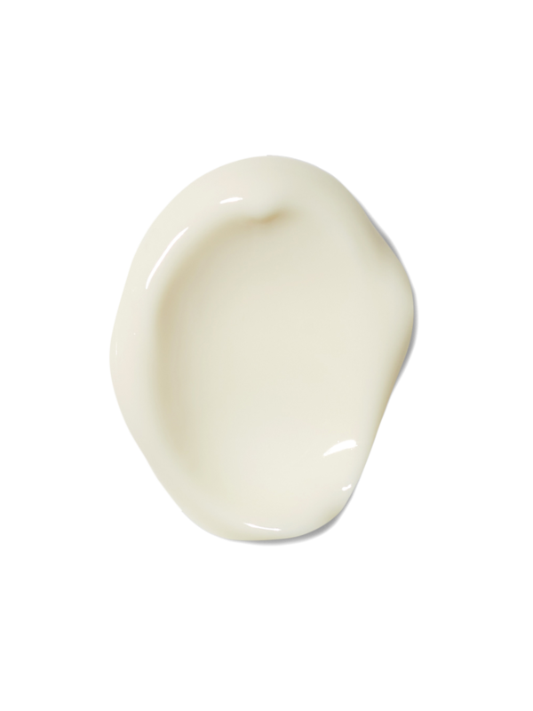 /original/4015165327905_BSTU_White_2.png_convert-600x800