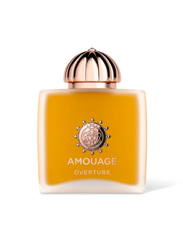 /original/41029_AMOU_NA_1.png_convert-600x800