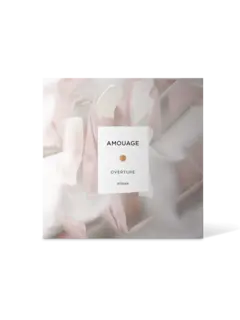 /original/41029_AMOU_NA_3.png_convert-240x320