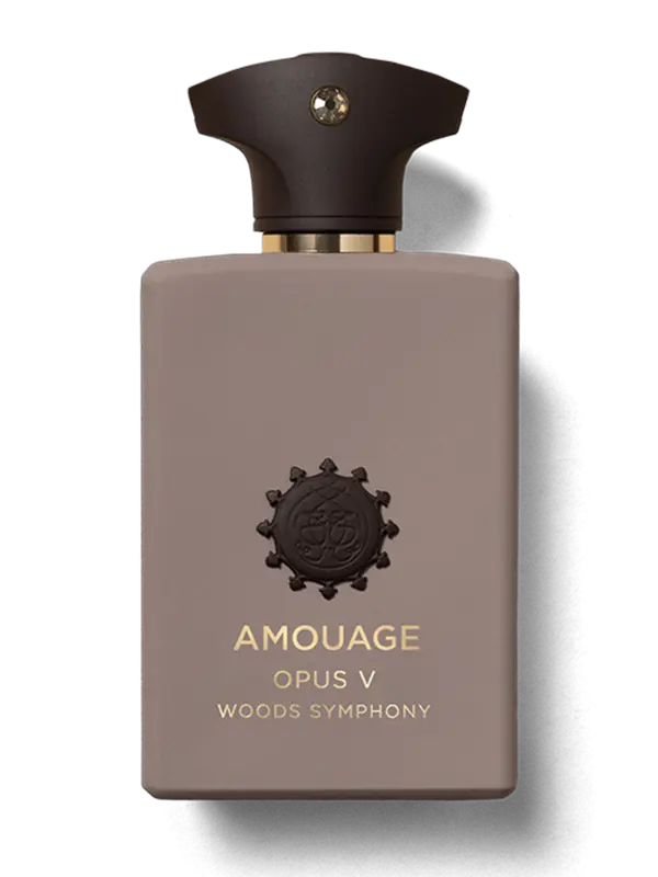 /original/41051_AMOU_NA_1.png_convert-600x800