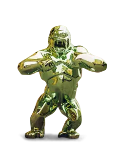 /original/4650_RIOR_Green_1.png_convert-240x320