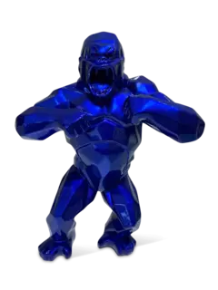 /original/4650_RIOR_NAVY_1.png_convert-240x320