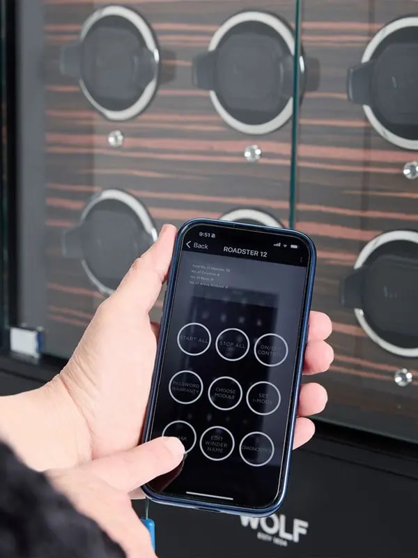 /original/478656_WOLF_Black_5.png_convert-600x800