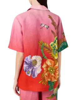 /original/5225T_ALIS_Pink Ombre_3.png_convert-240x320