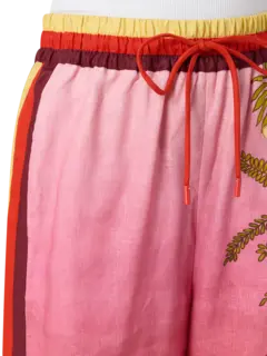 /original/5226P_ALIS_Pink Ombre_4.png_convert-240x320