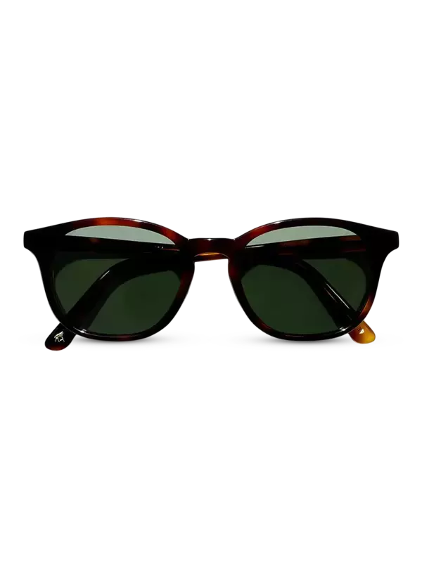 نظارة شمسية فيكس إكسب