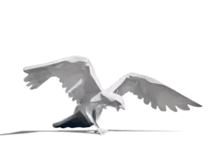 /original/68_RIOR_WHITE_1.png_convert-240x320