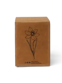 /original/718603355631_CONS_Brown_3.png_convert-240x320