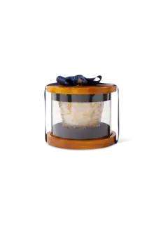 /original/749565921220_CONS_Gold_3.png_convert-240x320