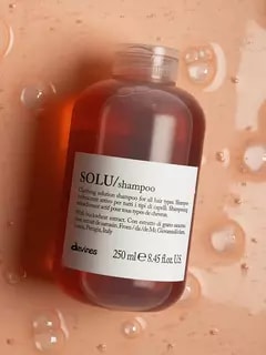 شامبو سولو