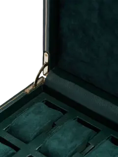 /original/792641_WOLF_Green_4.png_convert-240x320