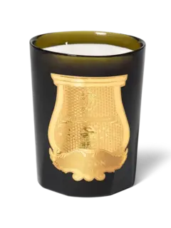 /original/800ABD14TRU_CTUR_Green_1.png_convert-240x320