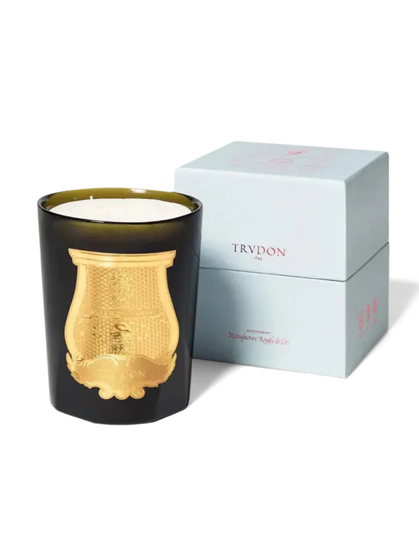 /original/800ABD14TRU_CTUR_Green_3.png_convert-600x800