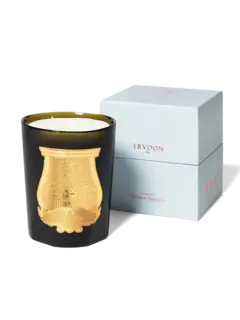 /original/800CYR16TRU_CTUR_Green_3.png_convert-240x320