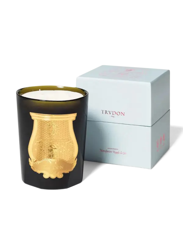 /original/800CYR16TRU_CTUR_Green_3.png_convert-600x800