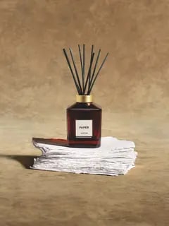 /original/882664009960_ASUL_Brown_2.png_convert-240x320