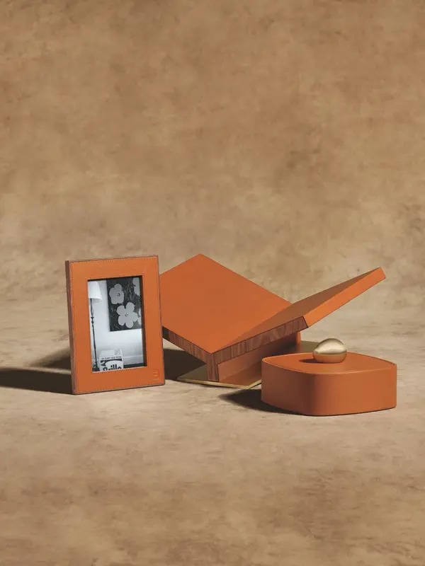 /original/882664011178_ASUL_Camel_2.png_convert-600x800