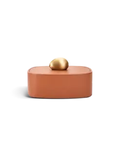 /original/882664011284_ASUL_Camel_1.png_convert-240x320