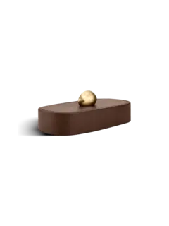 /original/882664011291_ASUL_Brown_2.png_convert-240x320