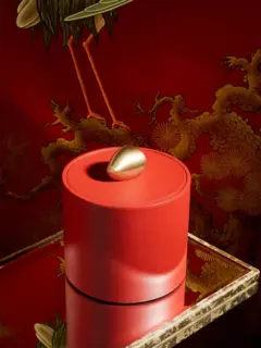 /original/882664011307_ASUL_Red_2.png_convert-240x320