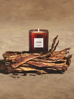 /original/882664328467_ASUL_Brown_2.png_convert-240x320