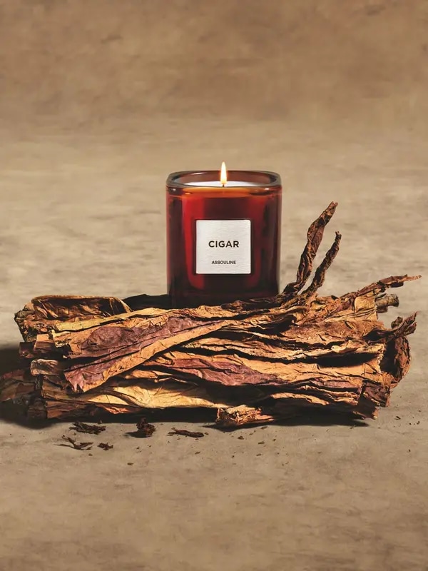 /original/882664328467_ASUL_Brown_2.png_convert-600x800