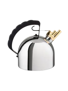 غلاية مياه بقاعدة من الستيل