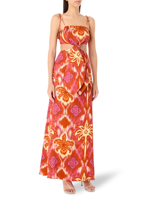 Naxos Printed Maxi Dress