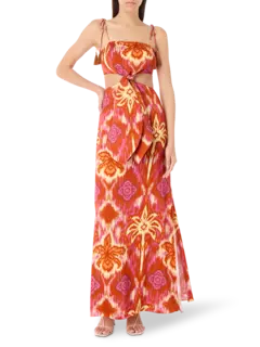 Naxos Printed Maxi Dress