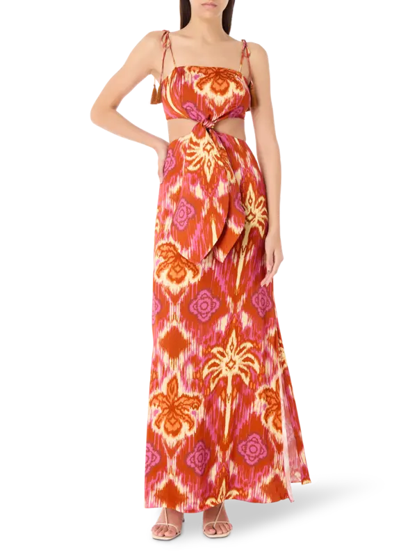 Naxos Printed Maxi Dress