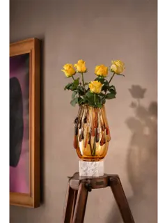 /original/97_AIKA_Amber_2.png_convert-240x320