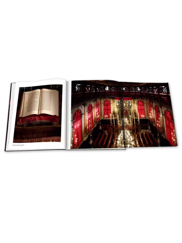 كتاب "Venice Synagogues"