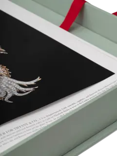 كتاب بعنوان "The Impossible Collection Of Jewelry"