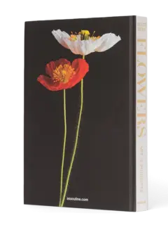 /original/9781614285144_ASUL_PINK_4.png_convert-240x320