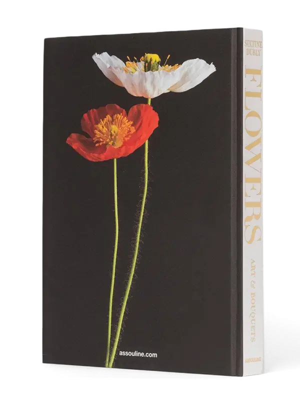 /original/9781614285144_ASUL_PINK_4.png_convert-600x800