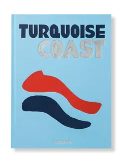 /original/9781614287773_ASUL_BLUE_1.png_convert-240x320