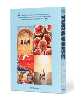 /original/9781614287773_ASUL_BLUE_4.png_convert-240x320