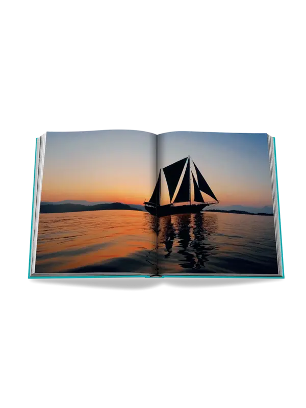 /original/9781614287773_ASUL_BLUE_6.png_convert-600x800